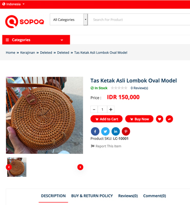Portfolio Item
